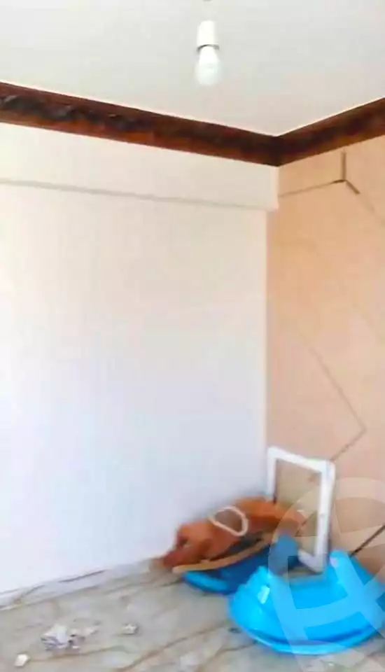 https://aqarmap.com.eg/en/listing/6658104-for-sale-alexandria-el-dekhela