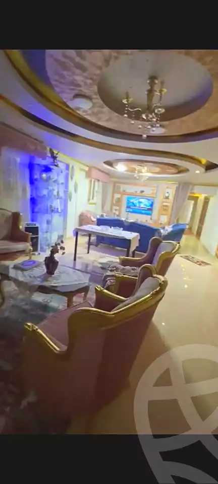 https://aqarmap.com.eg/ar/listing/6658268-for-sale-alexandria-l-jmy-lbytsh-qased-kareem-st