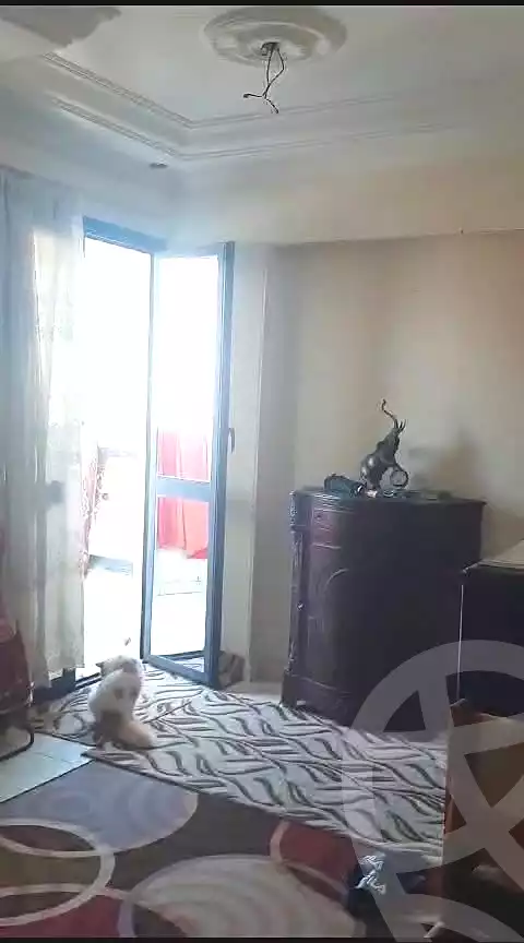 https://aqarmap.com.eg/ar/listing/6658882-for-sale-alexandria-ibrahimia-la-jetee-st