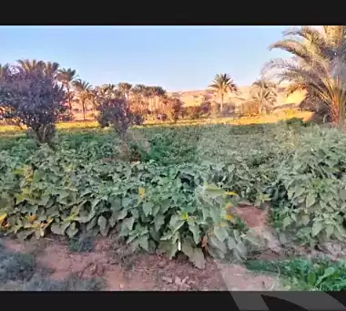 https://aqarmap.com.eg/ar/listing/6659232-for-sale-el-fayoum-tamiya-tamiyyah-city