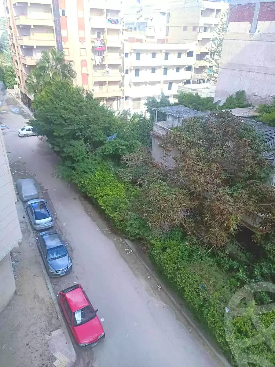 https://aqarmap.com.eg/ar/listing/6659289-for-sale-alexandria-l-jmy-l-jmy-lbhry-abd-el-hameed-radwan-st