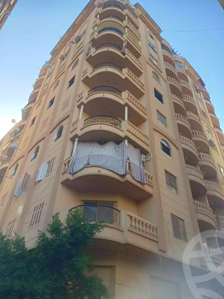 https://aqarmap.com.eg/ar/listing/6659289-for-sale-alexandria-l-jmy-l-jmy-lbhry-abd-el-hameed-radwan-st