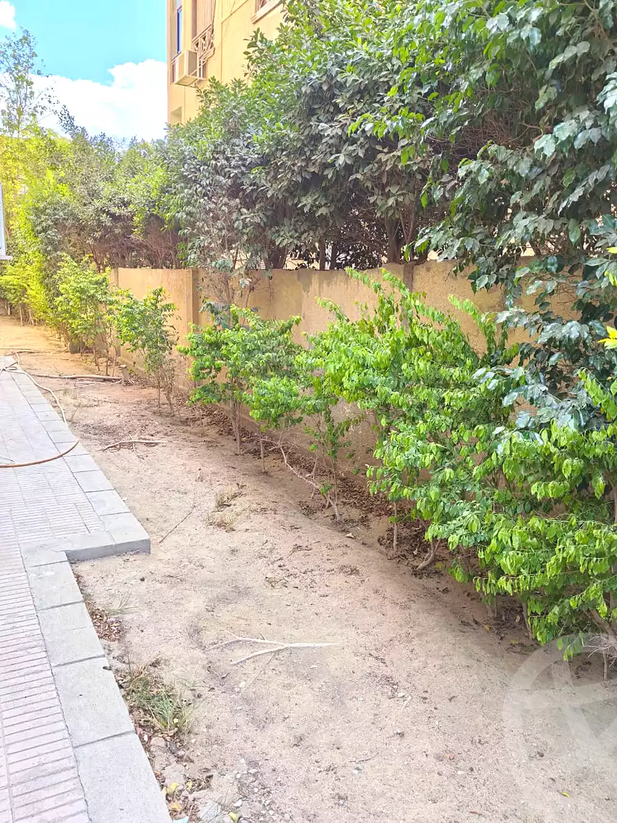 شقة بـ٤ غرف نوم في بيفرلي هيلز، صورة ١١ من ١٢