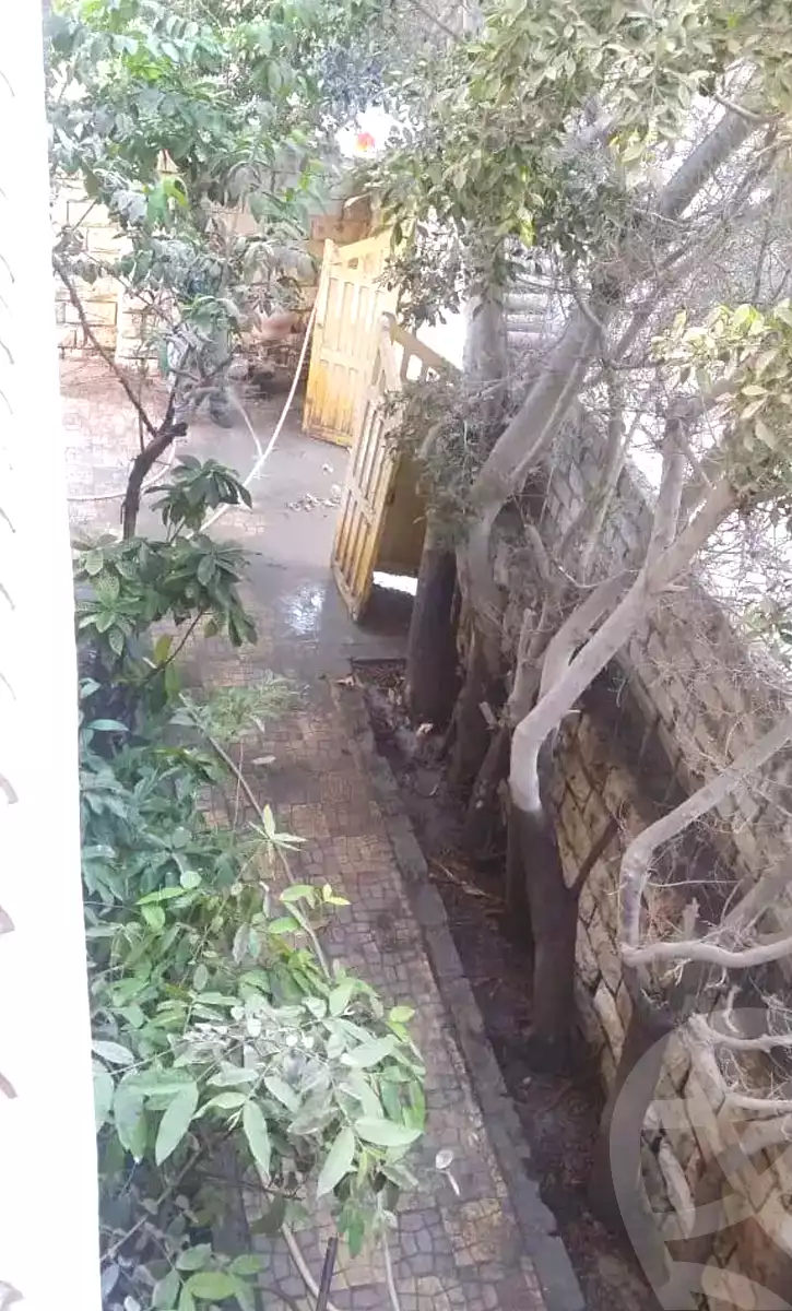 https://aqarmap.com.eg/en/listing/6662887-for-sale-alexandria-l-jmy-lbytsh-el-hanafeya-st
