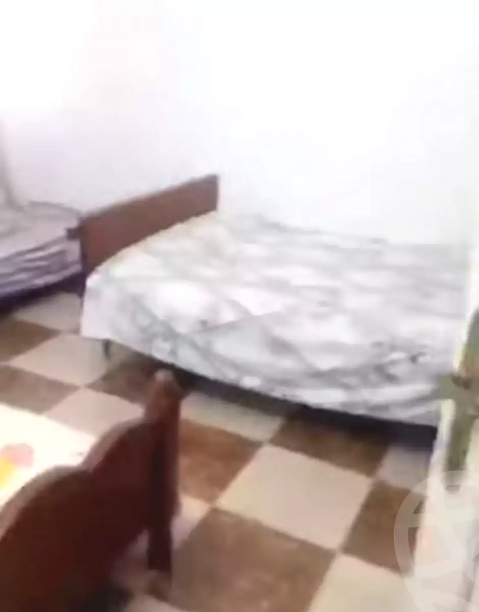 https://aqarmap.com.eg/en/listing/6666515-for-sale-alexandria-l-jmy-lbytsh-shahr-al-assal-st
