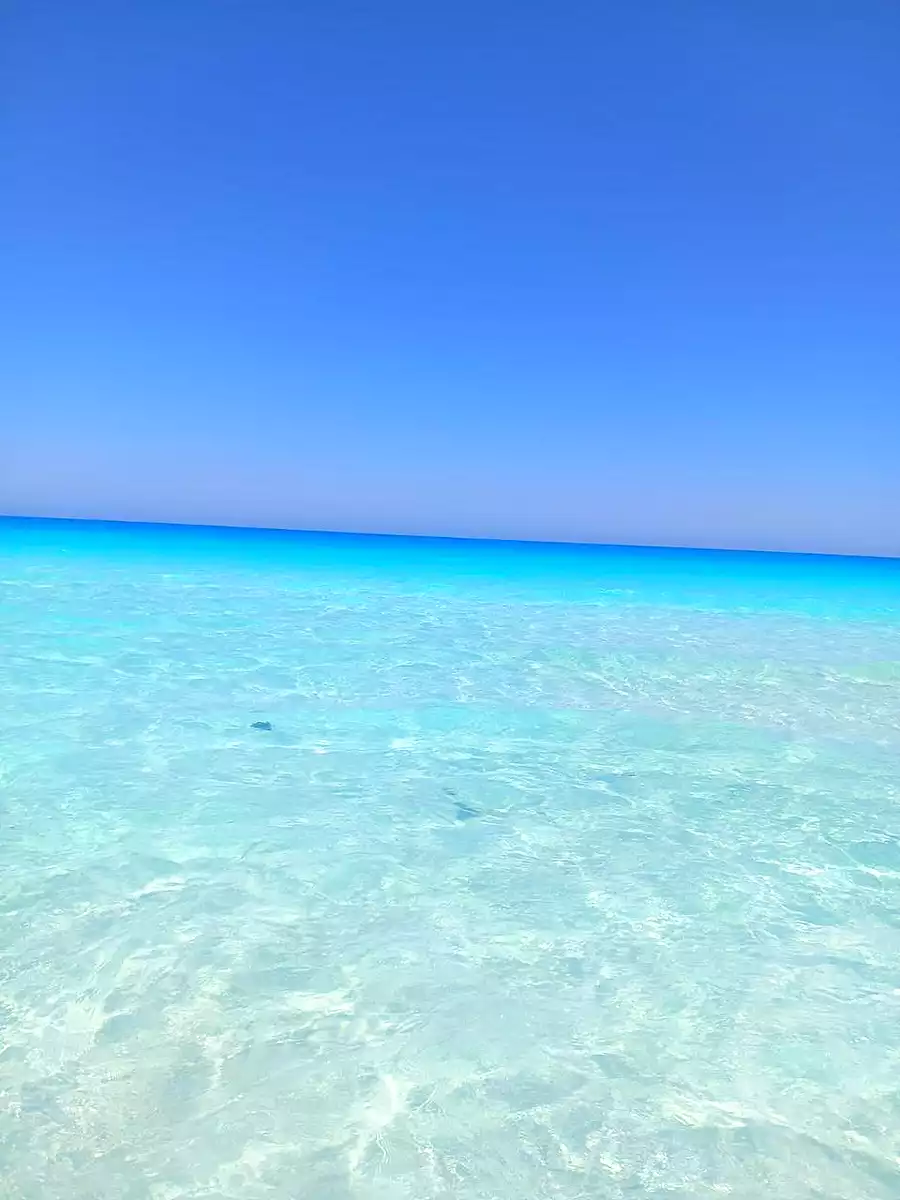 https://aqarmap.com.eg/ar/listing/6669012-for-sale-north-coast-resorts-mntj-syl