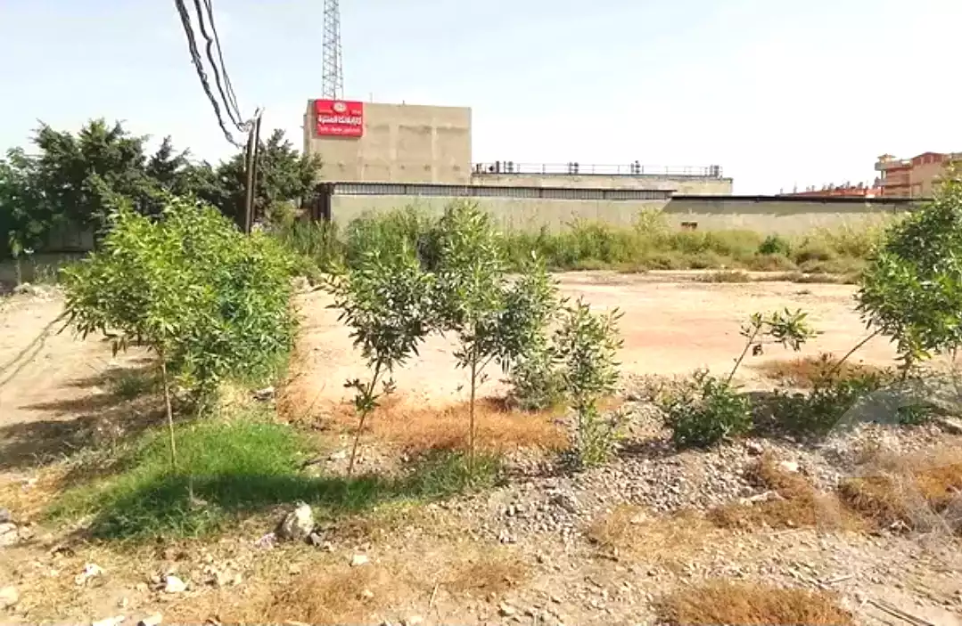 https://aqarmap.com.eg/en/listing/6670438-for-rent-alexandria-lm-mwr-el-maamora-el-balad