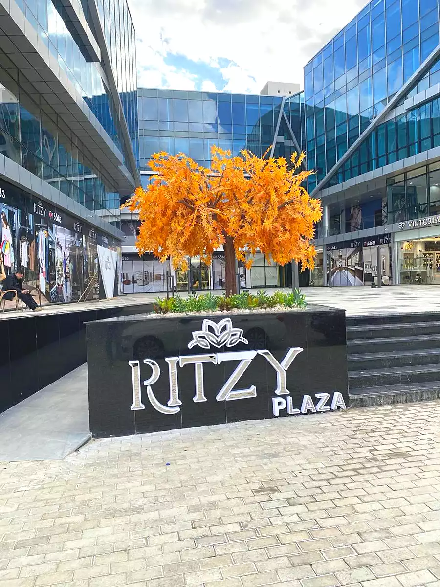 https://aqarmap.com.eg/ar/listing/6674424-for-rent-cairo-el-sheikh-zayed-city-compounds-rytzy-blz-mwl-tybh-llstthmr-l-qry