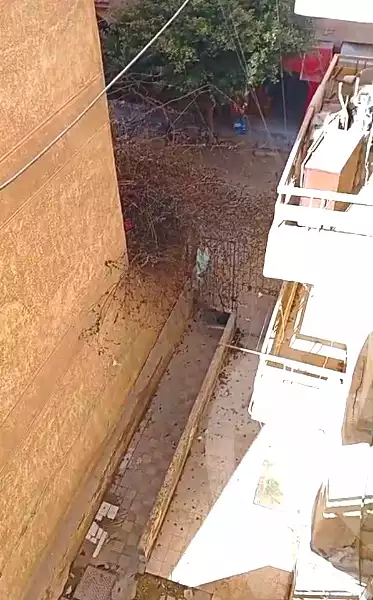 https://aqarmap.com.eg/en/listing/6676355-for-sale-alexandria-l-jmy-lbytsh-bianchiii