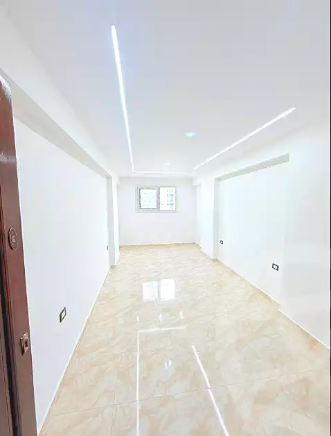 https://aqarmap.com.eg/en/listing/6676563-for-sale-alexandria-lsywf-el-falki