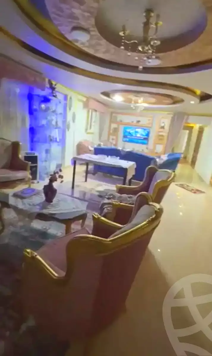 https://aqarmap.com.eg/ar/listing/6684176-for-sale-alexandria-l-jmy-lbytsh-qased-kareem-st