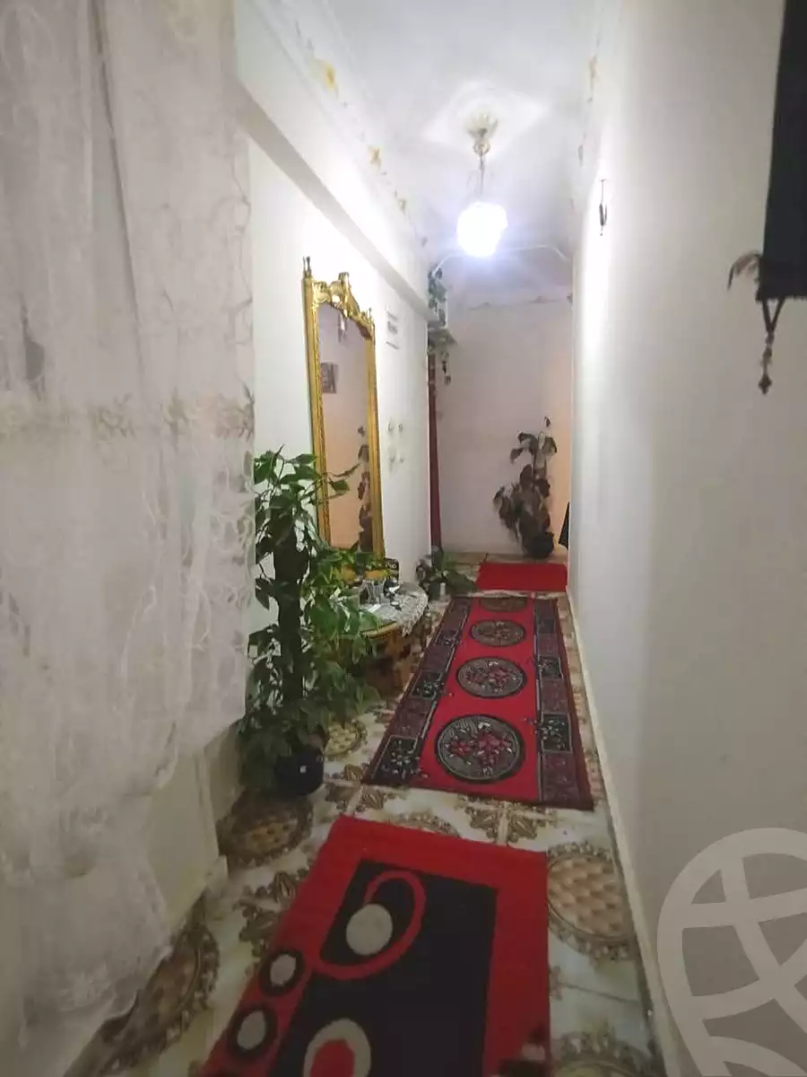https://aqarmap.com.eg/en/listing/6693878-for-sale-alexandria-l-jmy-lbytsh-belia-st