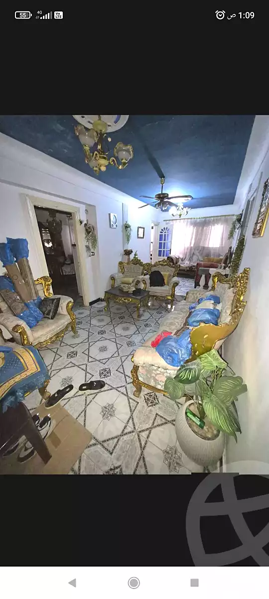 https://aqarmap.com.eg/ar/listing/6695094-for-sale-alexandria-l-jmy-lbytsh-qased-kareem-st