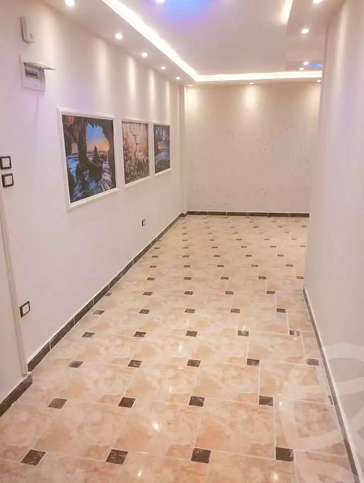 https://aqarmap.com.eg/en/listing/6695122-for-sale-alexandria-lsywf-el-falki