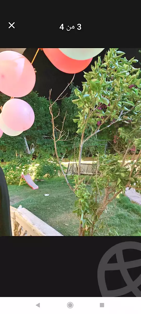 https://aqarmap.com.eg/ar/listing/6696936-for-sale-alexandria-l-jmy-lbytsh