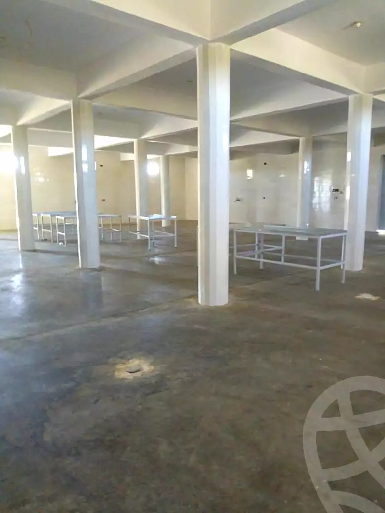 https://aqarmap.com.eg/ar/listing/6698326-for-rent-cairo-ljyz-bahariya-oasis-mandishah-village