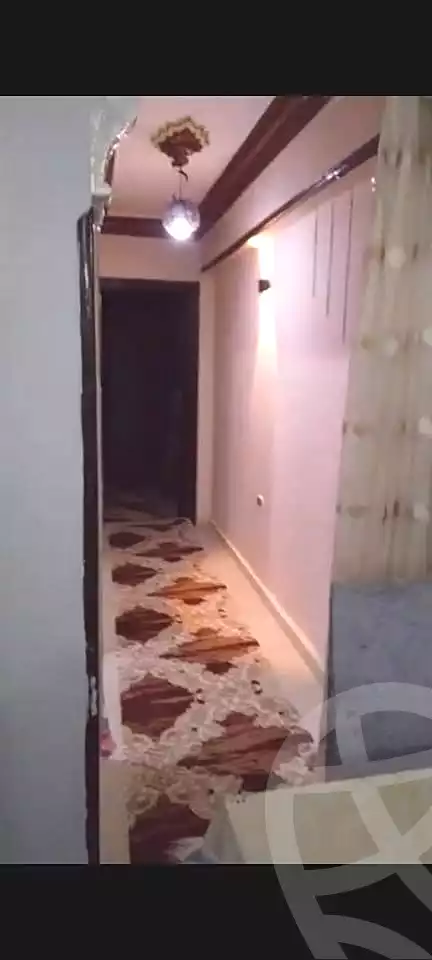 https://aqarmap.com.eg/ar/listing/6699839-for-sale-alexandria-l-jmy-lbytsh-abd-el-fattah-el-talkhawy
