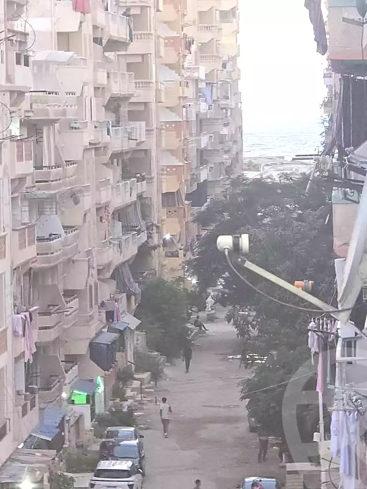 https://aqarmap.com.eg/en/listing/6703231-for-sale-alexandria-l-jmy-shataa-el-nakheel