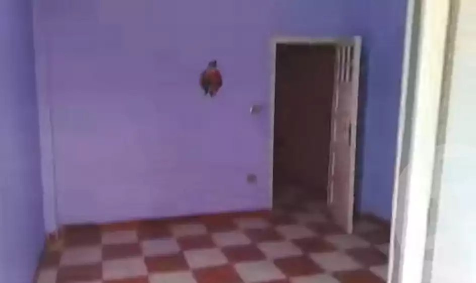 https://aqarmap.com.eg/en/listing/6706799-for-sale-alexandria-alexandria-marsa-matrouh-rd
