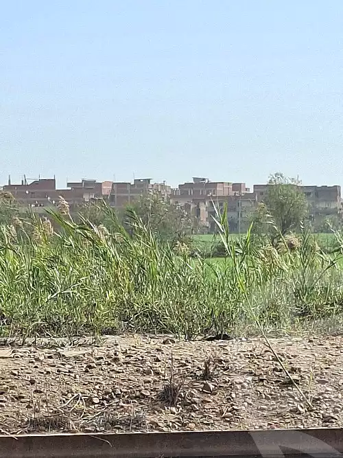 https://aqarmap.com.eg/ar/listing/6575137-for-sale-gharbia-tanta-mahallat-rawh