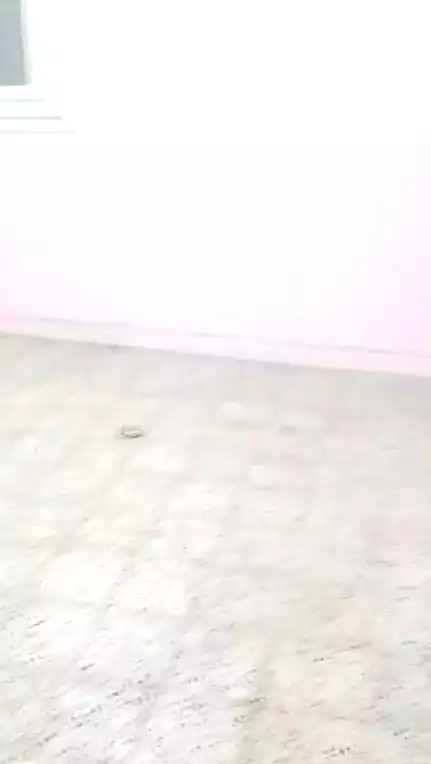 https://aqarmap.com.eg/en/listing/6709206-for-rent-alexandria-l-jmy-lbytsh-ain-shams-st