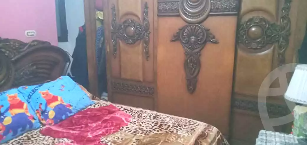 https://aqarmap.com.eg/en/listing/6709882-for-sale-alexandria-l-jmy-lbytsh
