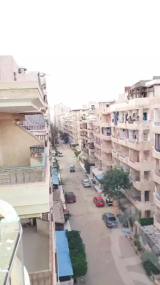 https://aqarmap.com.eg/ar/listing/6709906-for-sale-alexandria-l-jmy-shataa-el-nakheel