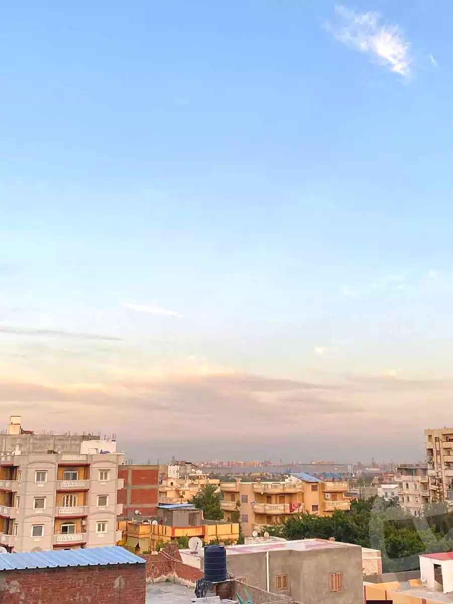 https://aqarmap.com.eg/en/listing/6710056-for-sale-alexandria-l-jmy-lbytsh-ibrahim-othman-st