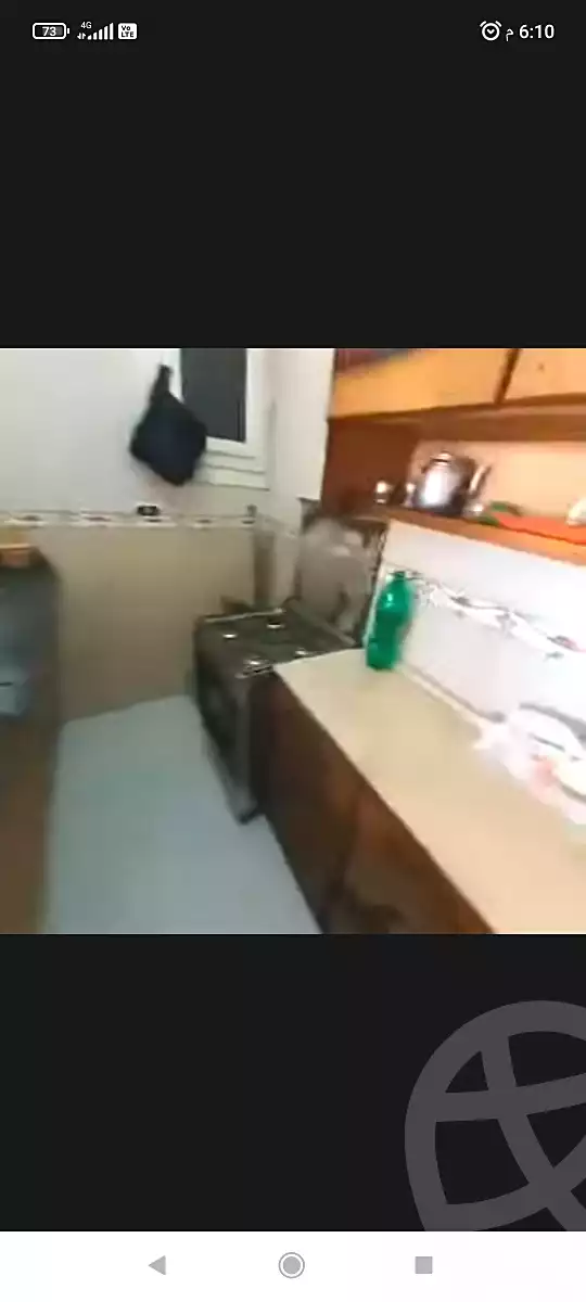 https://aqarmap.com.eg/en/listing/6712207-for-rent-alexandria-l-jmy-shataa-el-nakheel