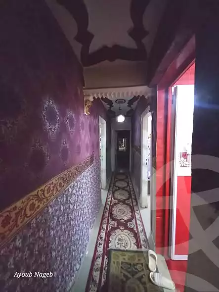 https://aqarmap.com.eg/ar/listing/6715368-for-sale-alexandria-l-jmy-lbytsh-qased-kareem-st