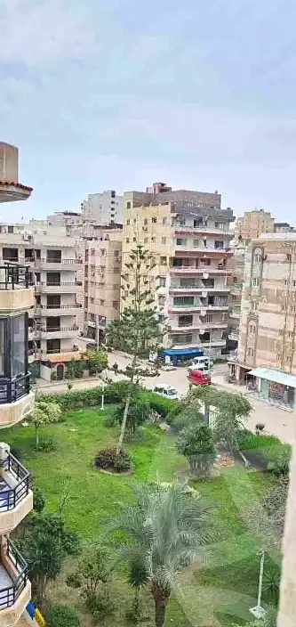 https://aqarmap.com.eg/ar/listing/6721982-for-sale-alexandria-l-jmy-shataa-el-nakheel