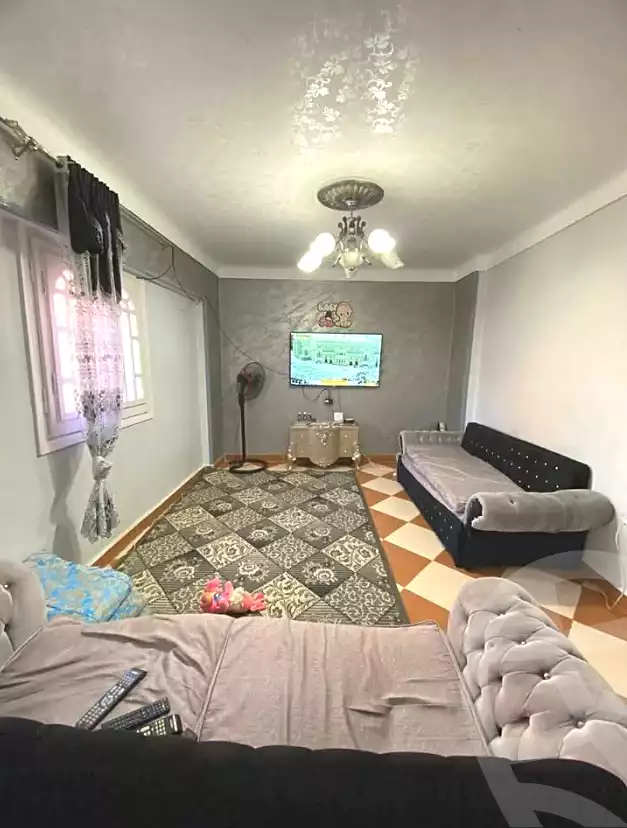 https://aqarmap.com.eg/en/listing/6724465-for-sale-alexandria-l-jmy-lbytsh-al-samalehy-2-st
