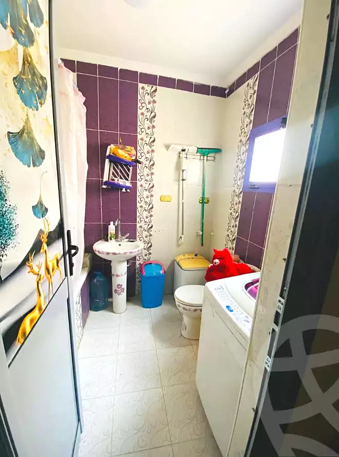 https://aqarmap.com.eg/en/listing/6724800-for-sale-alexandria-l-jmy-lbytsh-qased-kareem-st