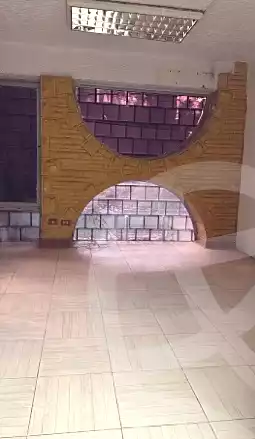 https://aqarmap.com.eg/en/listing/6729257-for-rent-cairo-el-maadi