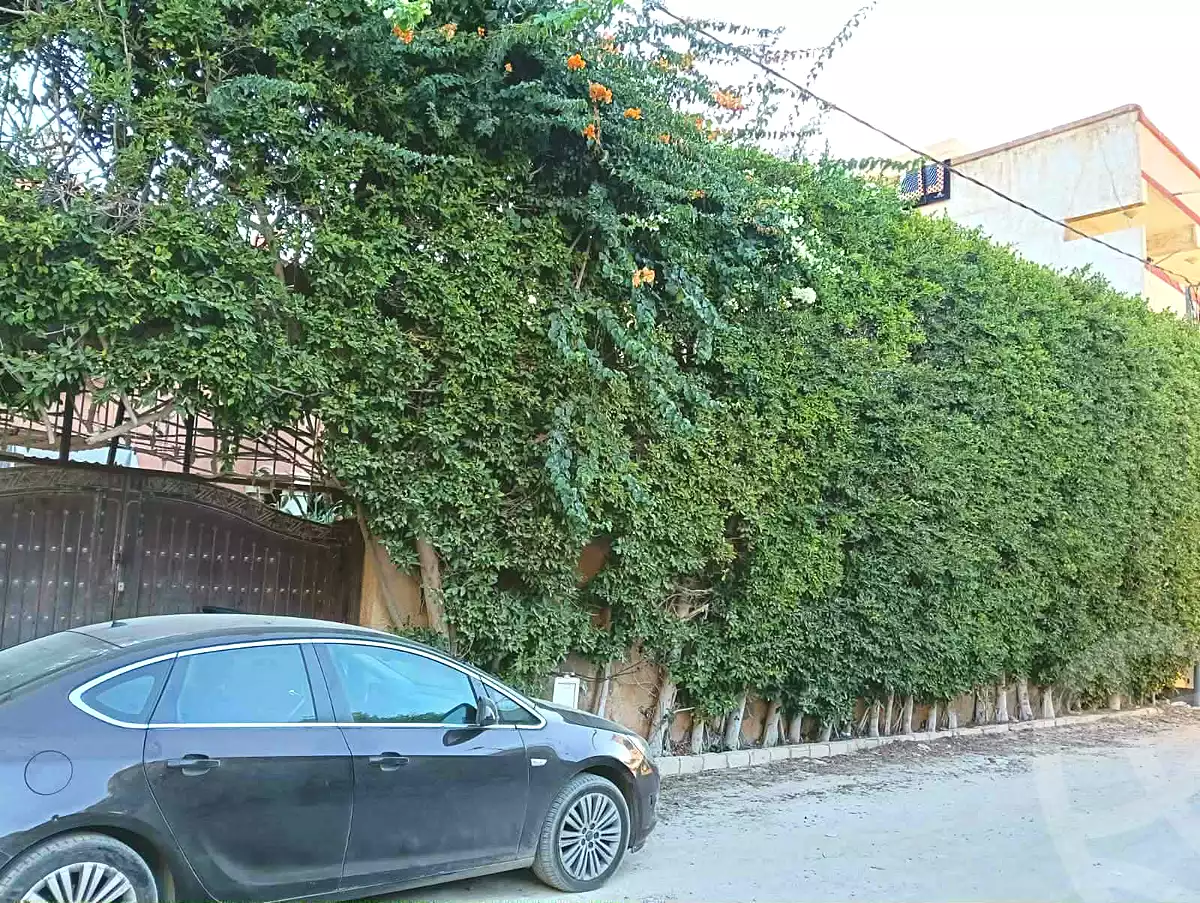 https://aqarmap.com.eg/ar/listing/6730026-for-sale-alexandria-l-jmy-lbytsh-el-hanafeya-st