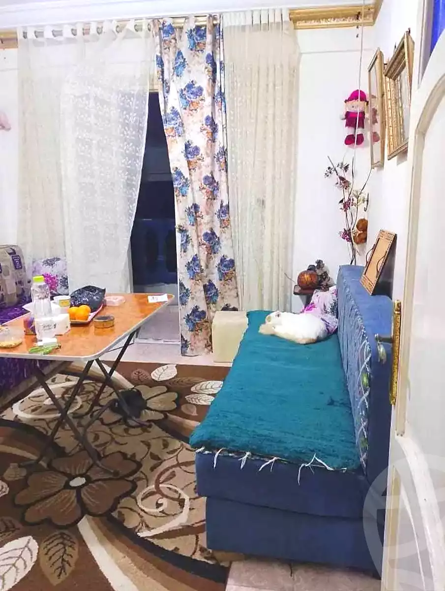 https://aqarmap.com.eg/ar/listing/6733390-for-sale-alexandria-sydy-bshr-sydy-bshr-bhry-abo-rdees-st