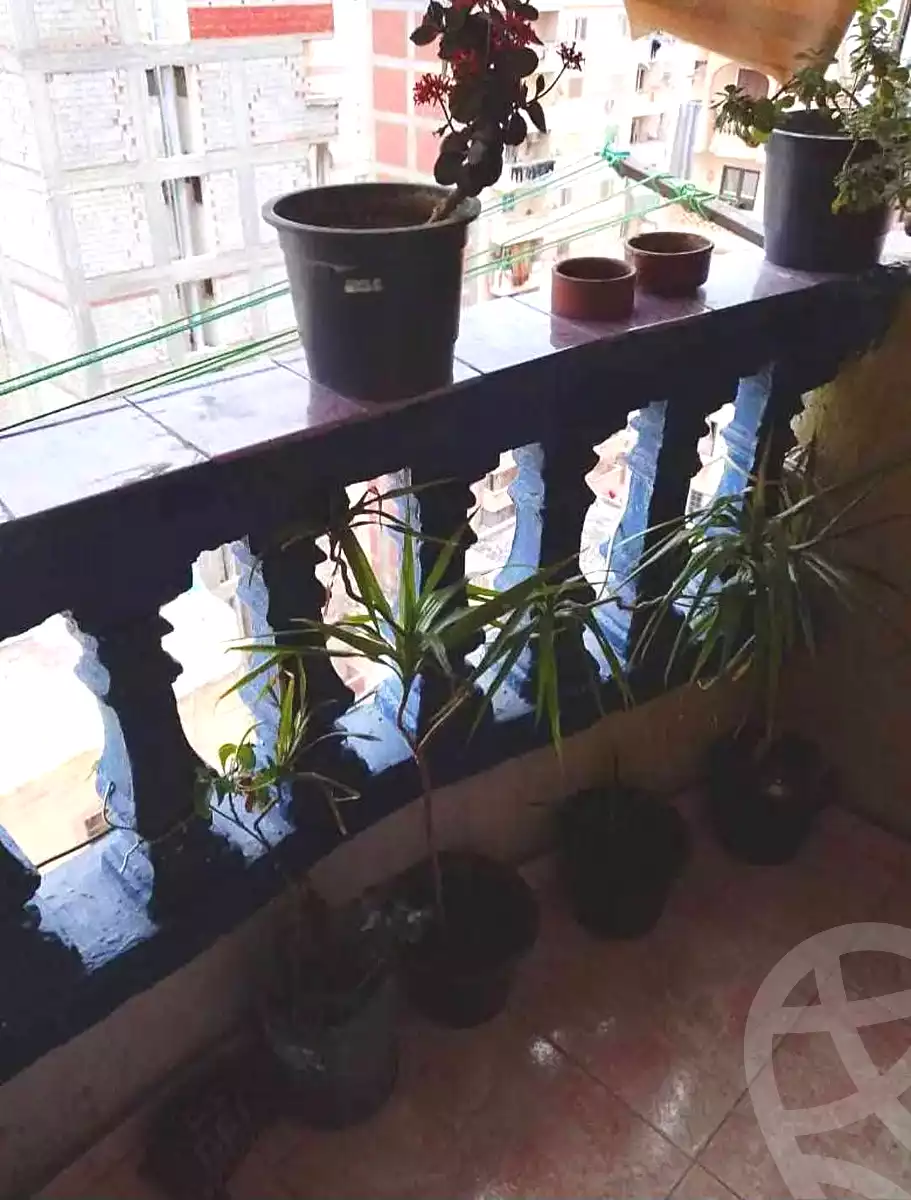https://aqarmap.com.eg/ar/listing/6733390-for-sale-alexandria-sydy-bshr-sydy-bshr-bhry-abo-rdees-st