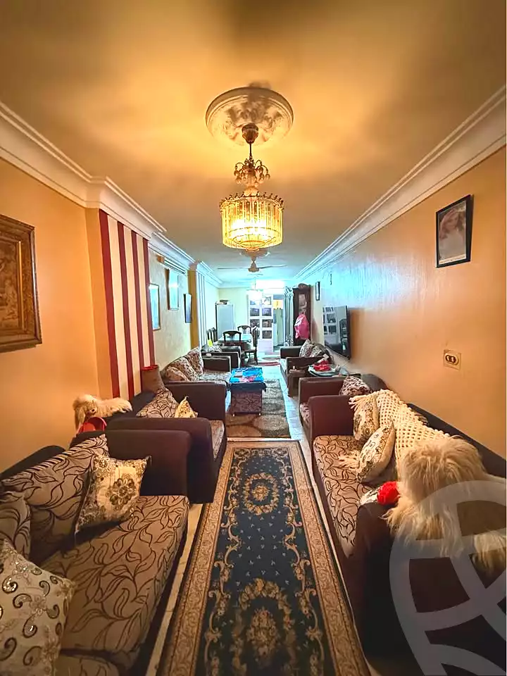 https://aqarmap.com.eg/ar/listing/6737324-for-sale-alexandria-el-asafra-ali-bahgat-al-deryni-st