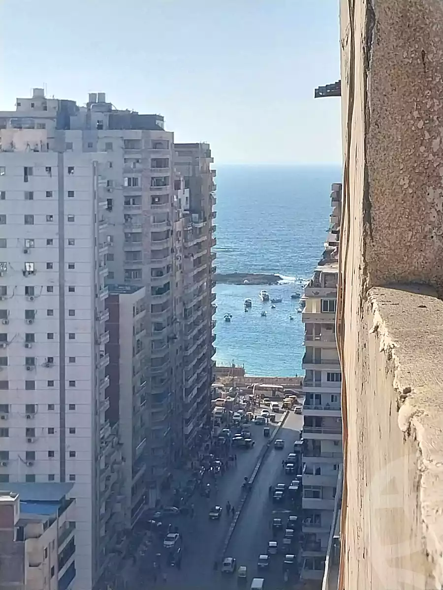 https://aqarmap.com.eg/ar/listing/6738665-for-sale-alexandria-miami-iskandar-ibrahim-st