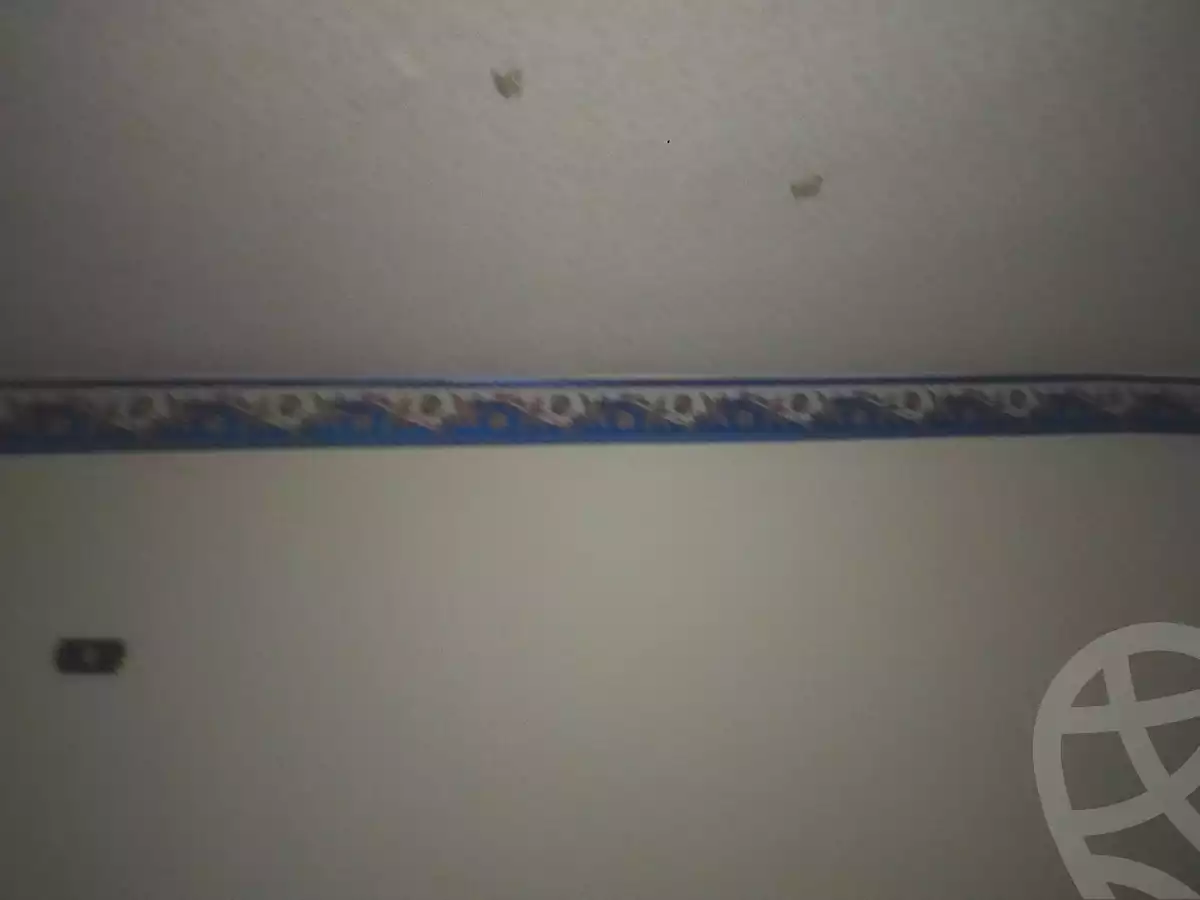 https://aqarmap.com.eg/ar/listing/6743706-for-sale-cairo-el-marg-lmrj-ljdyd-el-gazira-st