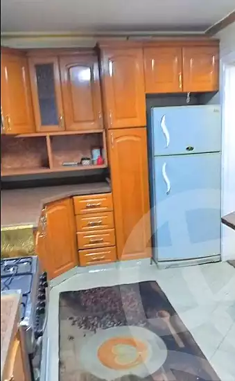 https://aqarmap.com.eg/ar/listing/6746362-for-rent-cairo-manial-kwrnysh-lmnyl