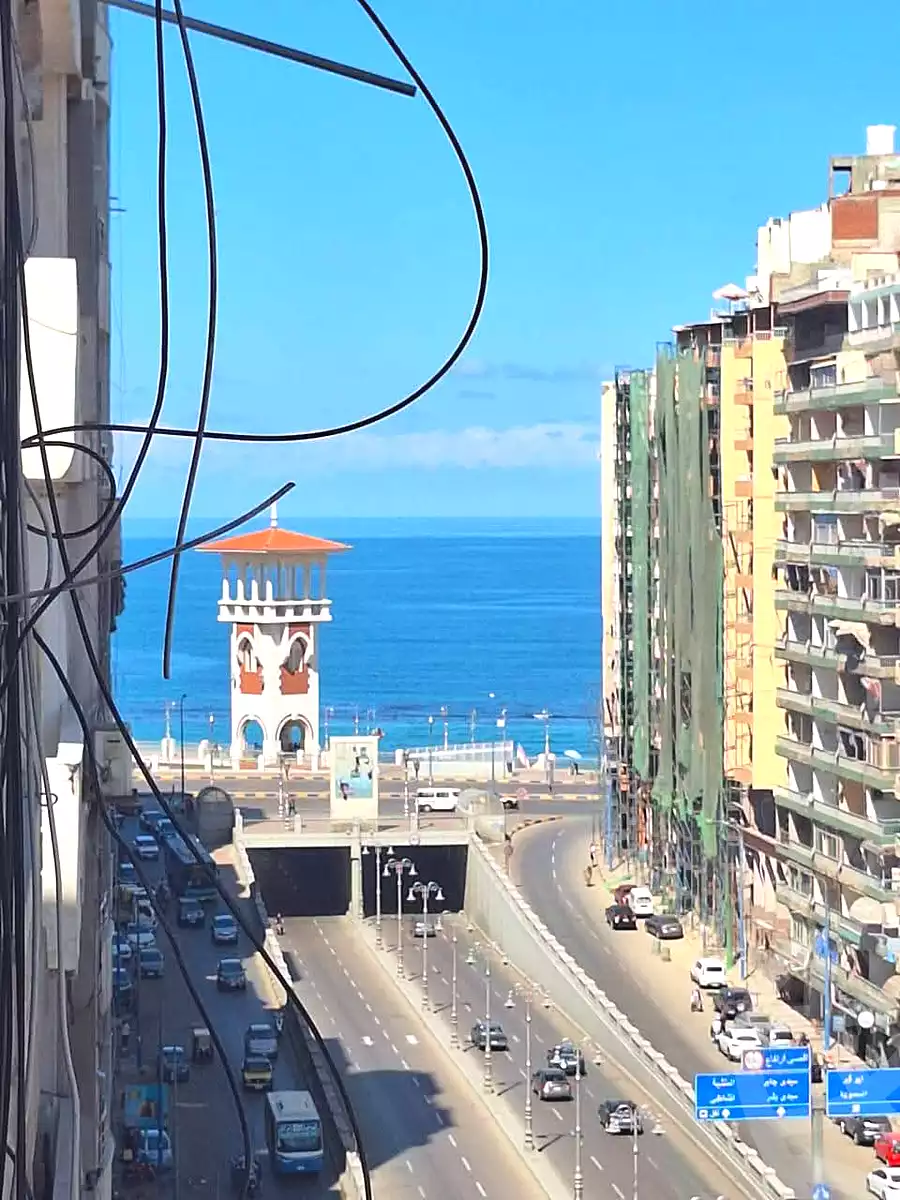 https://aqarmap.com.eg/ar/listing/6746735-for-sale-alexandria-el-asafra-shr-45