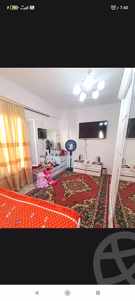 https://aqarmap.com.eg/ar/listing/6748428-for-sale-alexandria-l-jmy-lbytsh-al-aeda-al-kadema-st