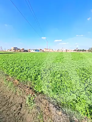 https://aqarmap.com.eg/ar/listing/6750321-for-sale-sharqia-faqous-faqous-city