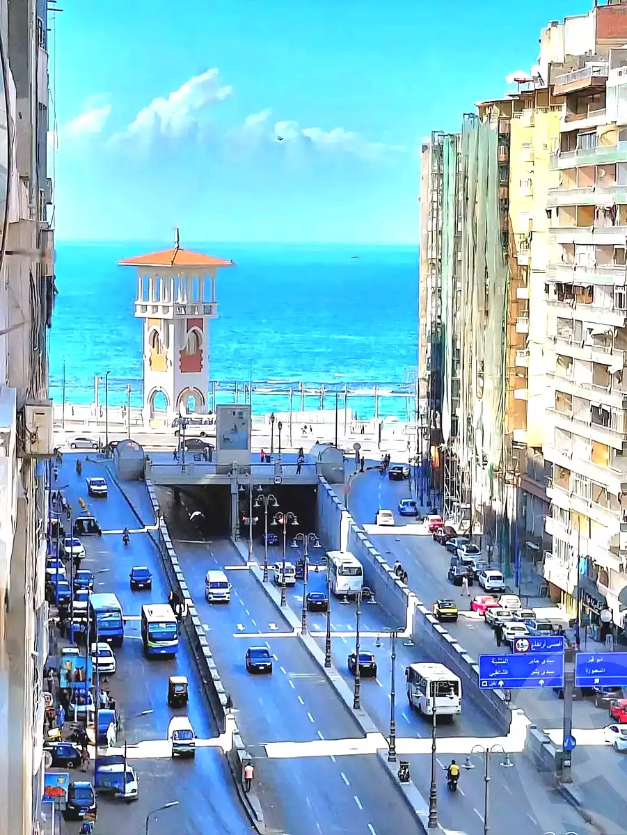 https://aqarmap.com.eg/ar/listing/6755735-for-sale-alexandria-el-asafra-shr-45