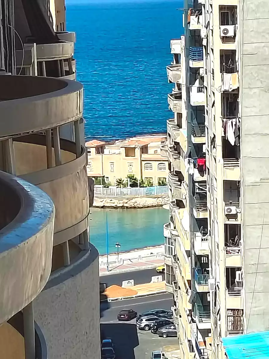 https://aqarmap.com.eg/ar/listing/6757364-for-sale-alexandria-miami-mahmoud-el-isawy-st