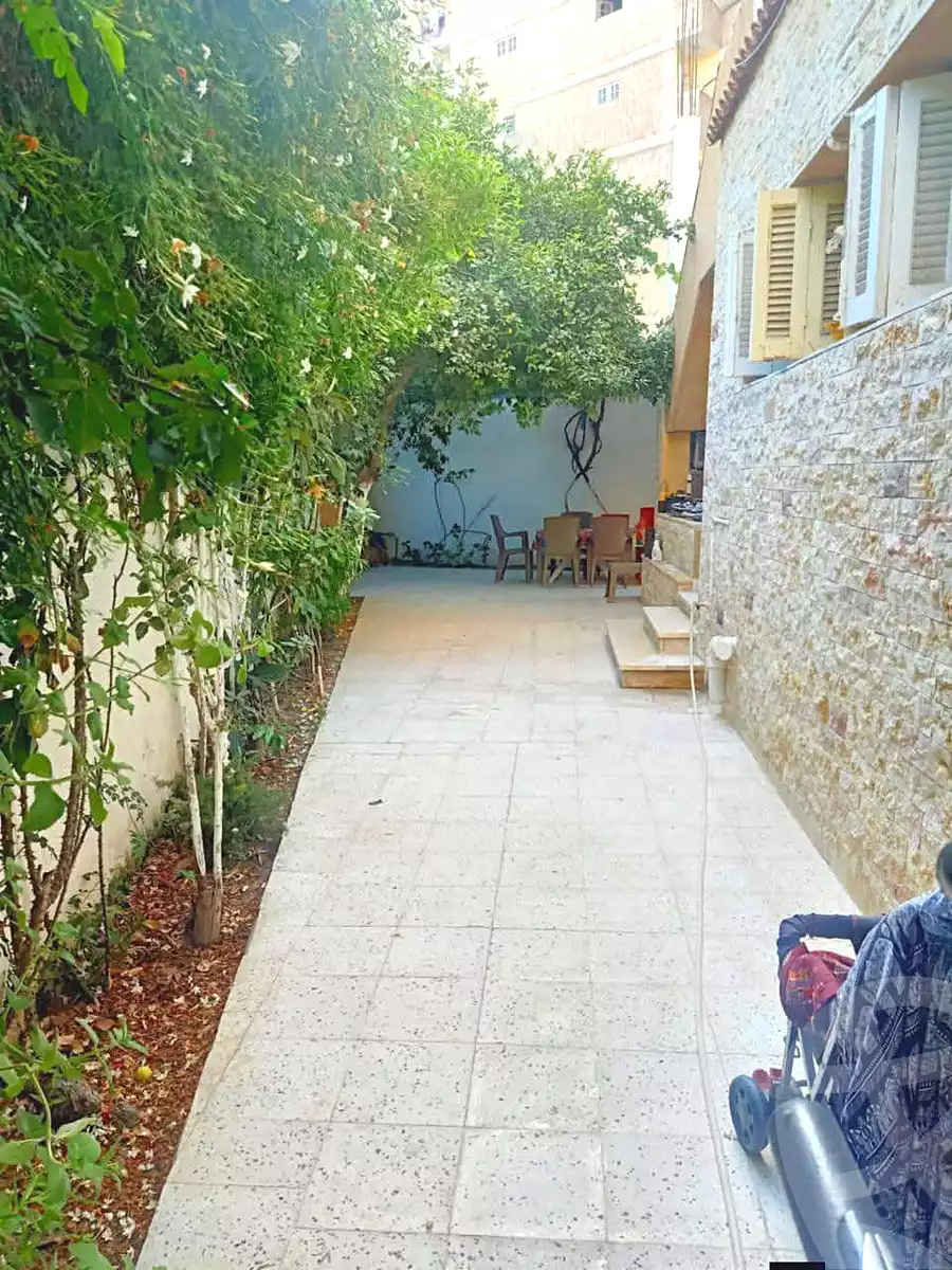 https://aqarmap.com.eg/en/listing/6757591-for-sale-alexandria-l-jmy-lbytsh-al-aeda-al-kadema-st