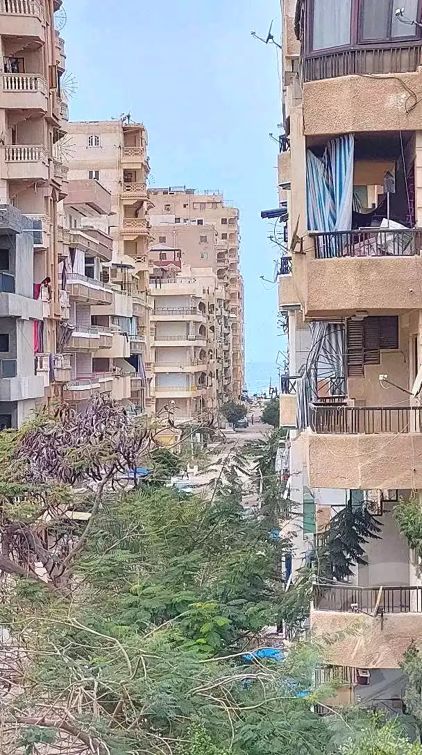 https://aqarmap.com.eg/ar/listing/6764539-for-sale-alexandria-l-jmy-shataa-el-nakheel