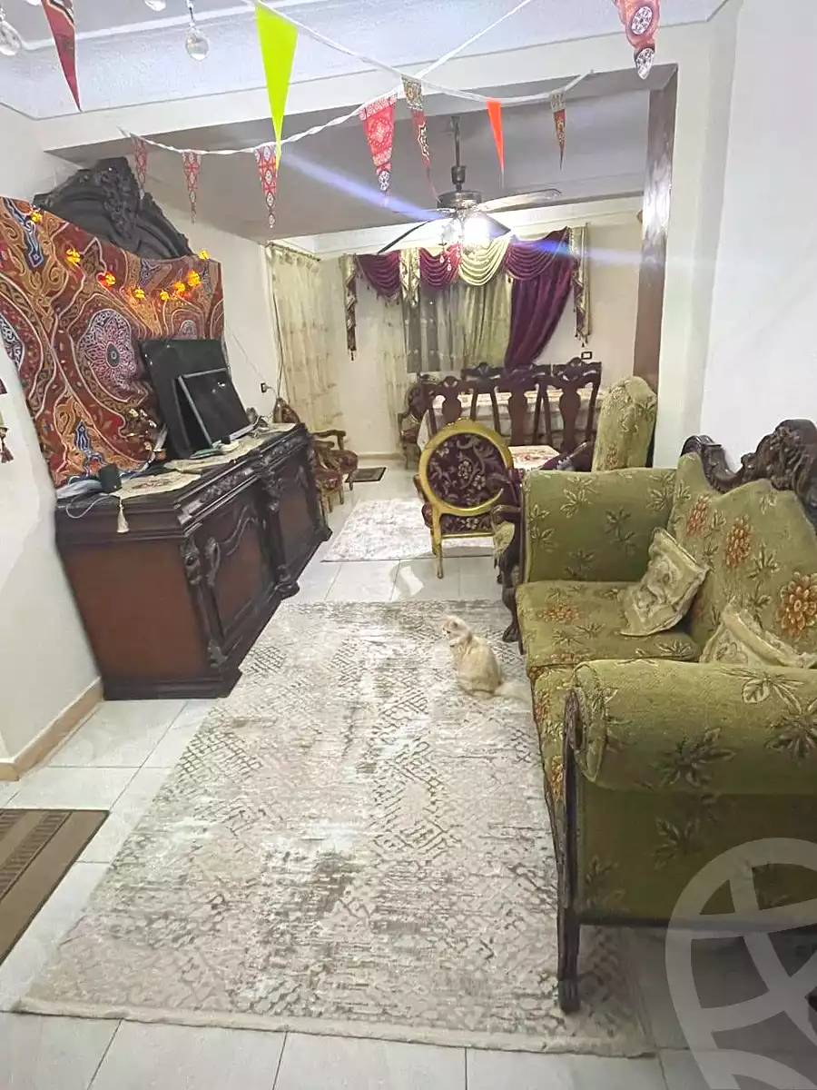 https://aqarmap.com.eg/ar/listing/6769181-for-sale-alexandria-l-jmy-lbytsh-el-hanafeya-st