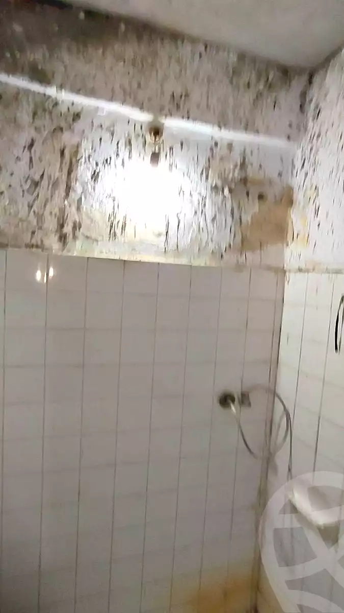 https://aqarmap.com.eg/en/listing/6776442-for-sale-alexandria-el-dekhela